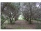 Gloucester NSW 2422