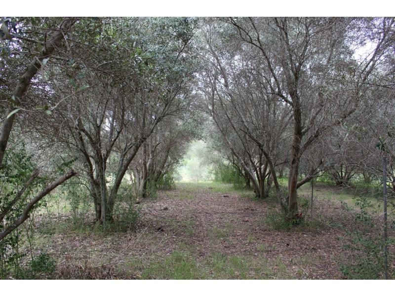 Gloucester NSW 2422