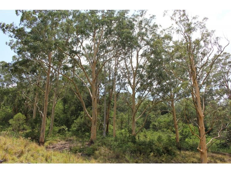 Gloucester NSW 2422