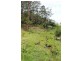 Gloucester NSW 2422