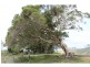 Gloucester NSW 2422