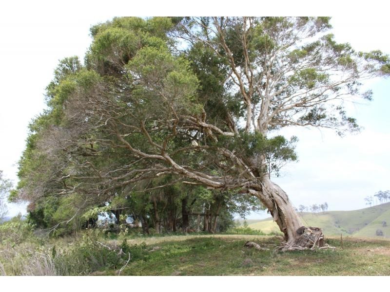 Gloucester NSW 2422