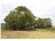 Gloucester NSW 2422