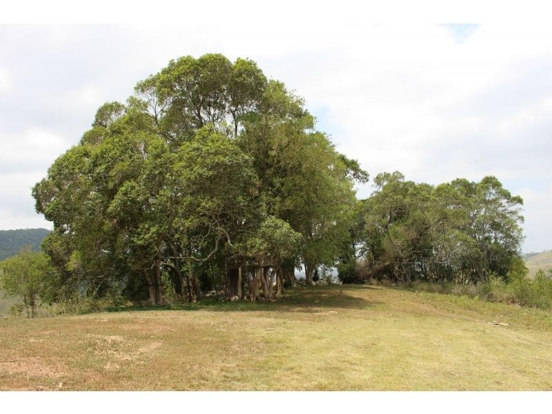 Gloucester NSW 2422