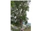 Gloucester NSW 2422