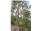 Gloucester NSW 2422