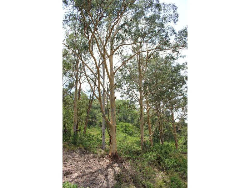 Gloucester NSW 2422