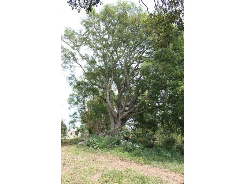 Gloucester NSW 2422