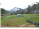 Bundook NSW 2422