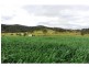 Gloucester NSW 2422