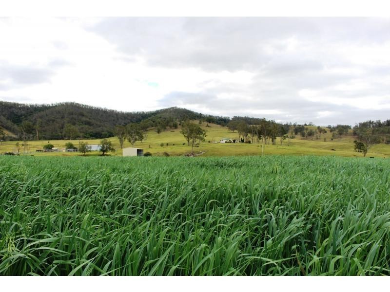Gloucester NSW 2422