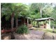 384 Jems Creek Road, The Tops Organic Retreat, Gloucester NSW 2422