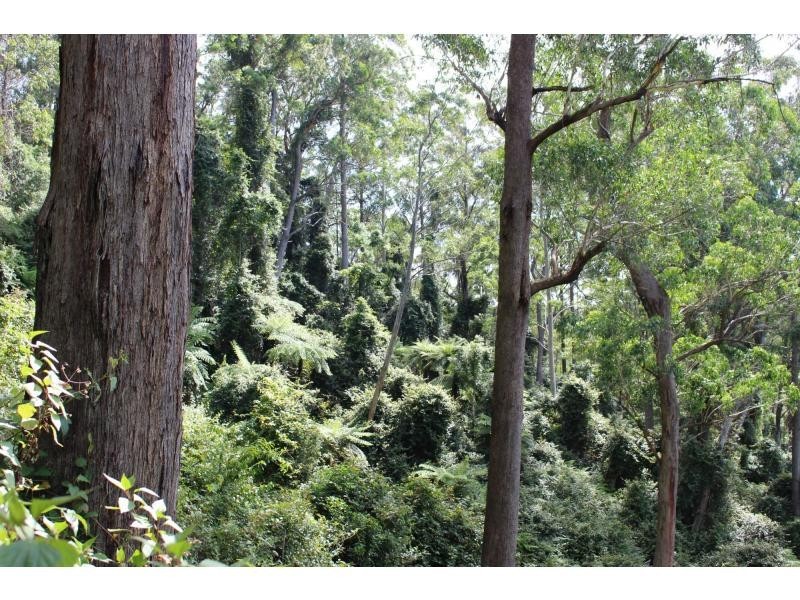 384 Jems Creek Road, The Tops Organic Retreat, Gloucester NSW 2422