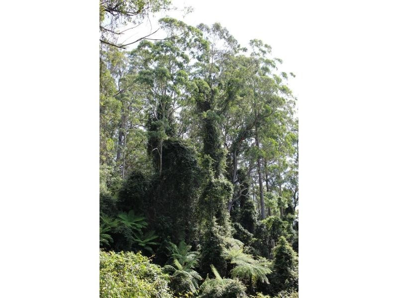 384 Jems Creek Road, The Tops Organic Retreat, Gloucester NSW 2422