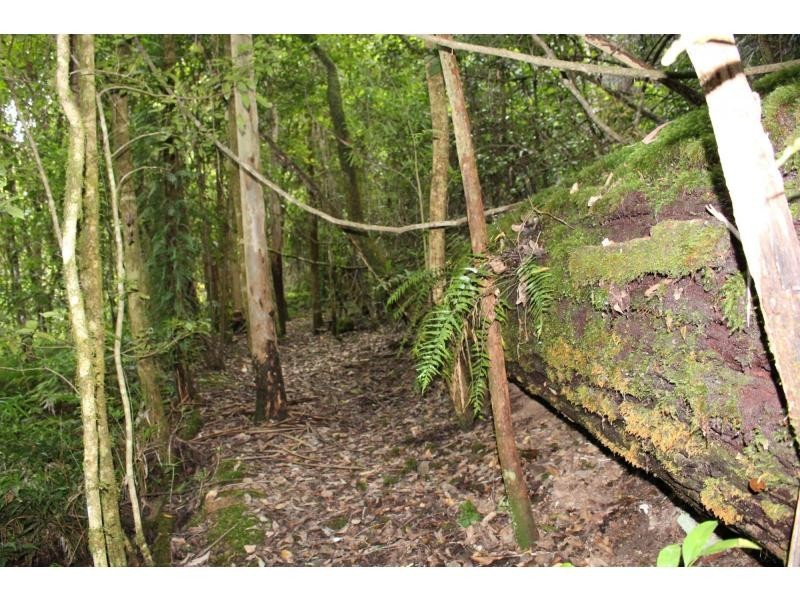 384 Jems Creek Road, The Tops Organic Retreat, Gloucester NSW 2422