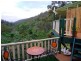 Copeland NSW 2422