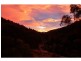 Copeland NSW 2422