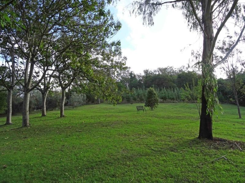 Copeland NSW 2422