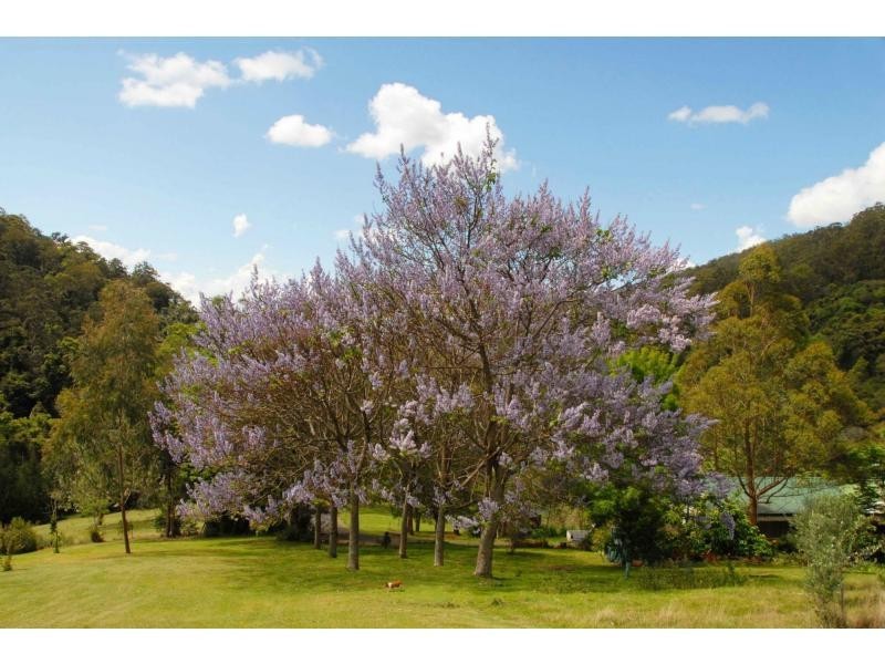 Gloucester NSW 2422