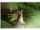 Gloucester NSW 2422