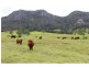 Gloucester NSW 2422