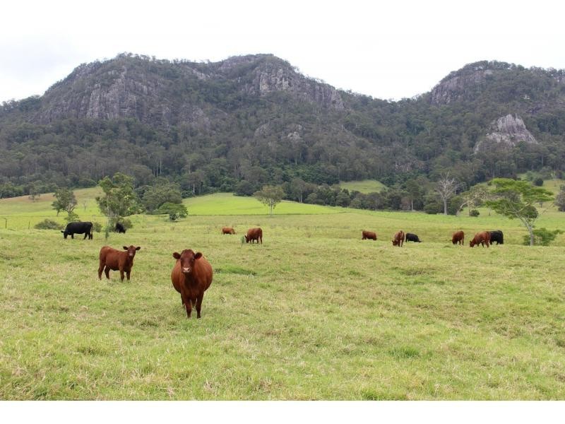 Gloucester NSW 2422