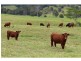 Gloucester NSW 2422