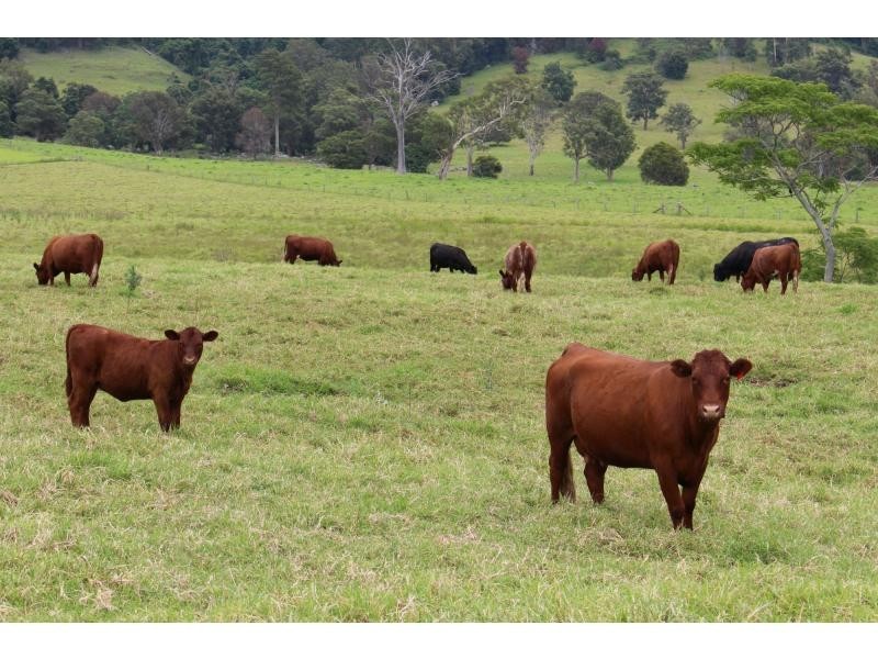 Gloucester NSW 2422