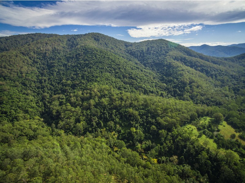 Lot 2B 139 Testorellis Road, Gloucester NSW 2422