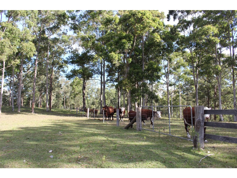 LOT 22 Upper Avon Road, Gloucester NSW 2422