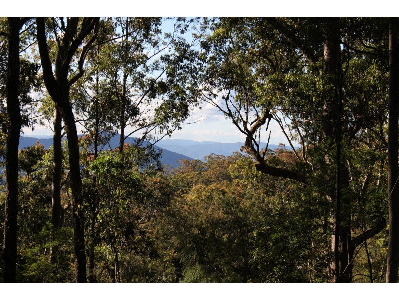 LOT 110 Upper Avon Road, Gloucester NSW 2422