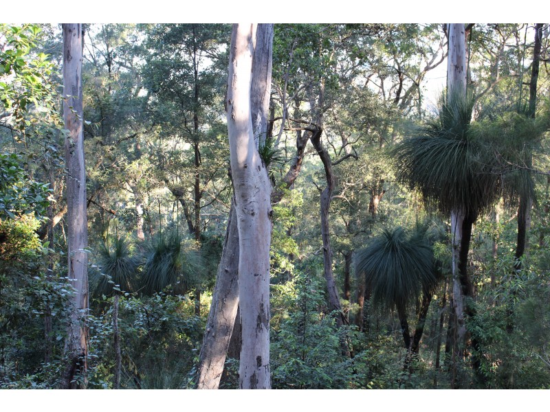 LOT 110 Upper Avon Road, Gloucester NSW 2422