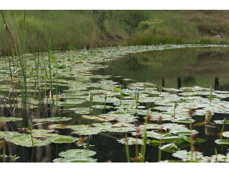 367 Moores Rd, Monkerai NSW 2415