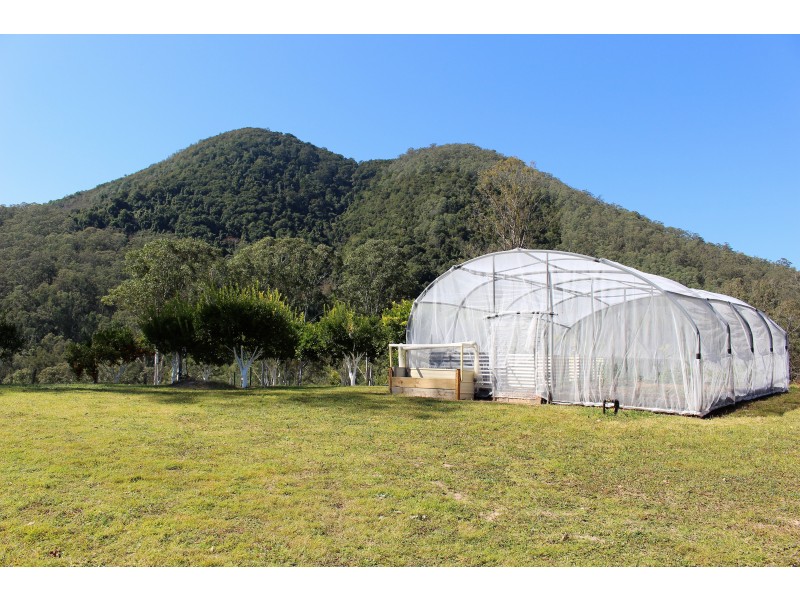 17 Tibbuc Rd, Tibbuc NSW 2422