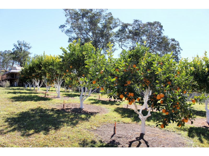 17 Tibbuc Rd, Tibbuc NSW 2422