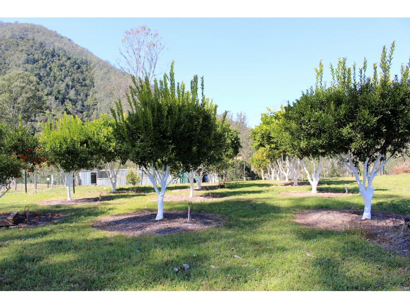 17 Tibbuc Rd, Tibbuc NSW 2422