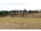 Lot 112 Sanctuary Ridge, Gloucester NSW 2422