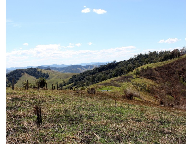 595 Dees Road, Belbora NSW 2422