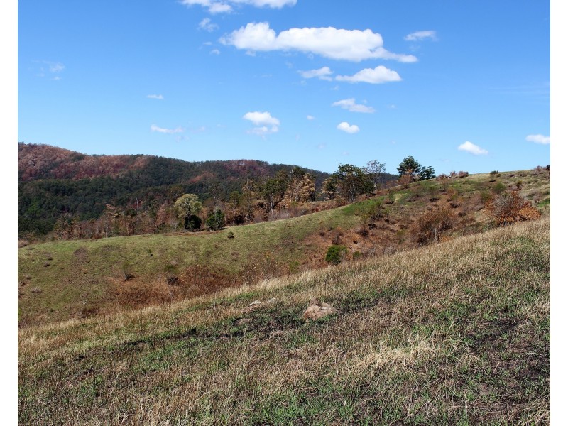 595 Dees Road, Belbora NSW 2422