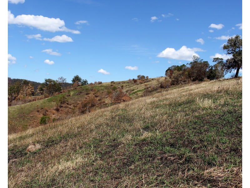 595 Dees Road, Belbora NSW 2422