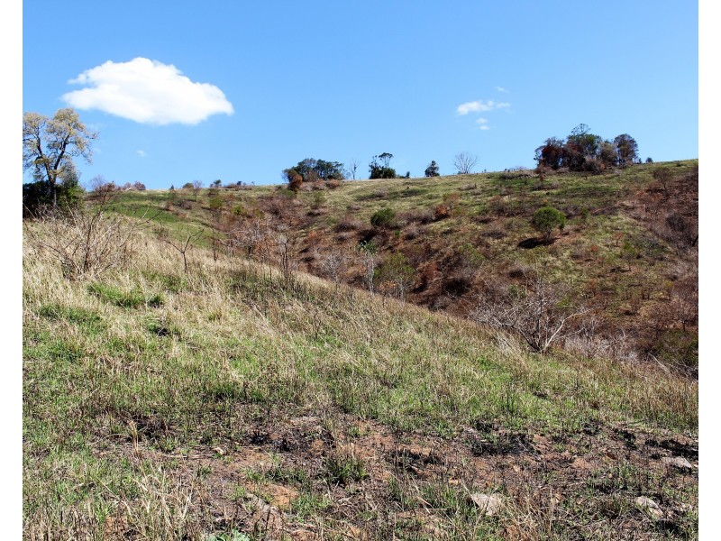 595 Dees Road, Belbora NSW 2422