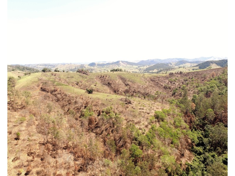 595 Dees Road, Belbora NSW 2422