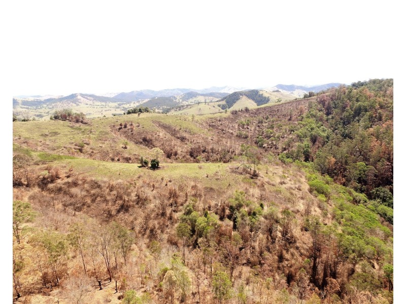 595 Dees Road, Belbora NSW 2422