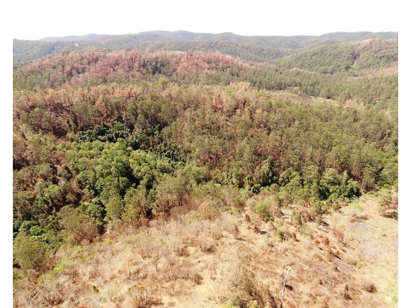 595 Dees Road, Belbora NSW 2422