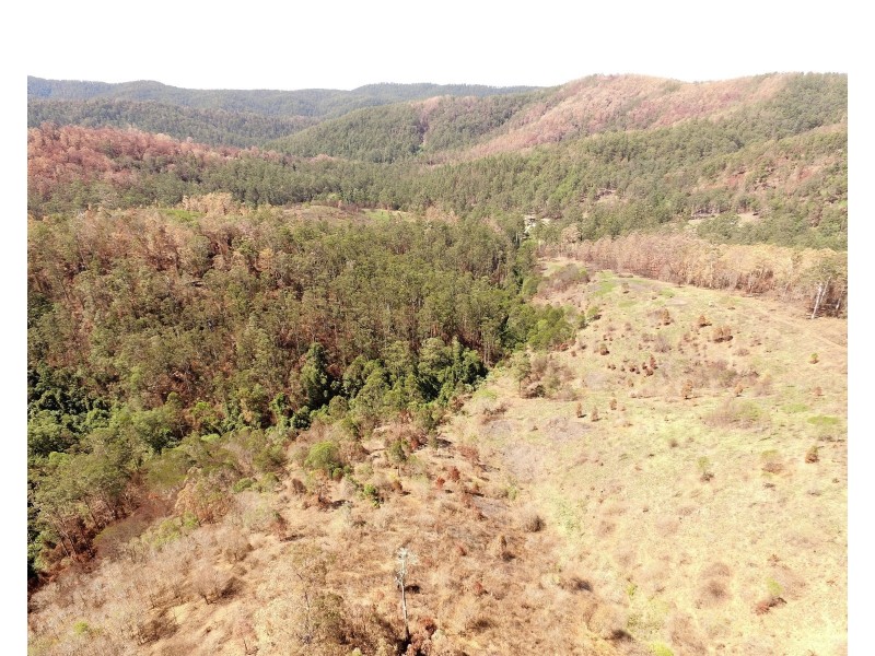 595 Dees Road, Belbora NSW 2422