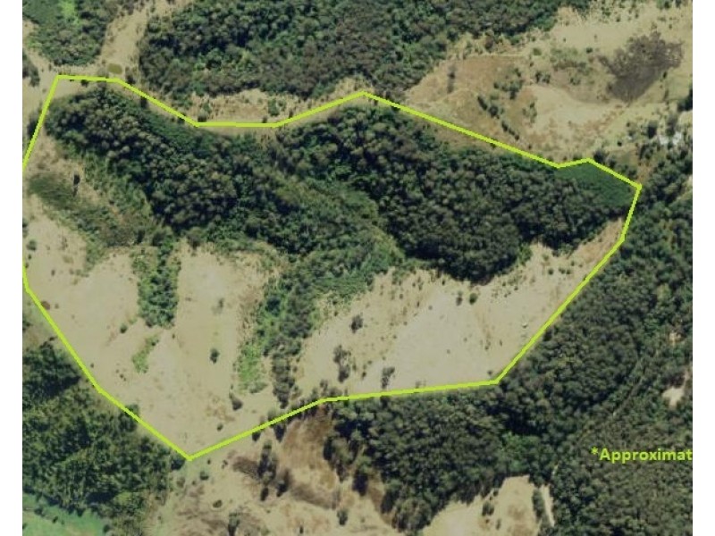 595 Dees Road, Belbora NSW 2422