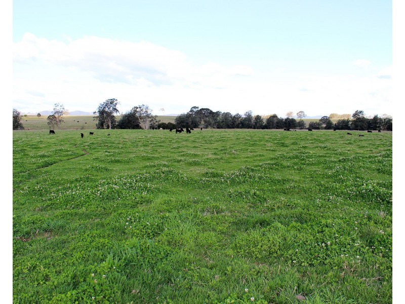 276 Gloucester Tops Road, Gloucester NSW 2422