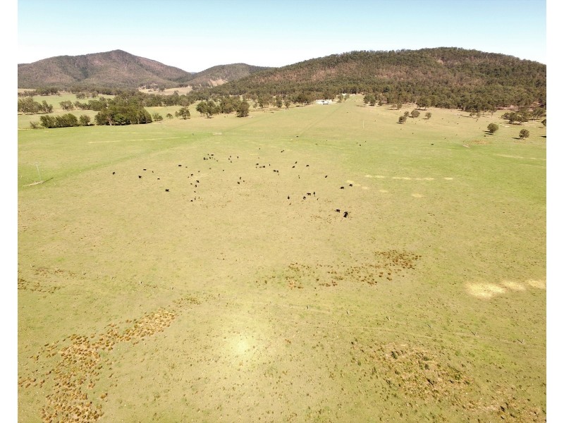 276 Gloucester Tops Road, Gloucester NSW 2422