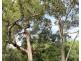18 Mahogany Drive, Gloucester NSW 2422