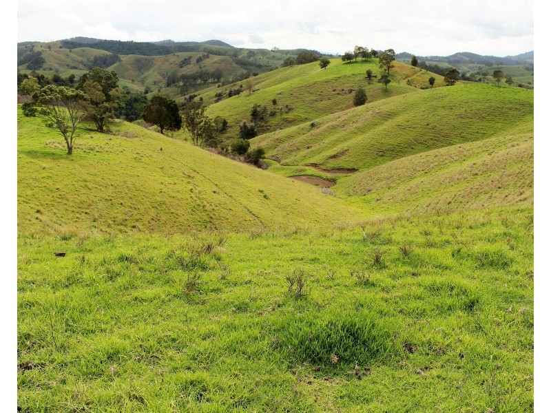 634 Wallanbah Road, Gloucester NSW 2422